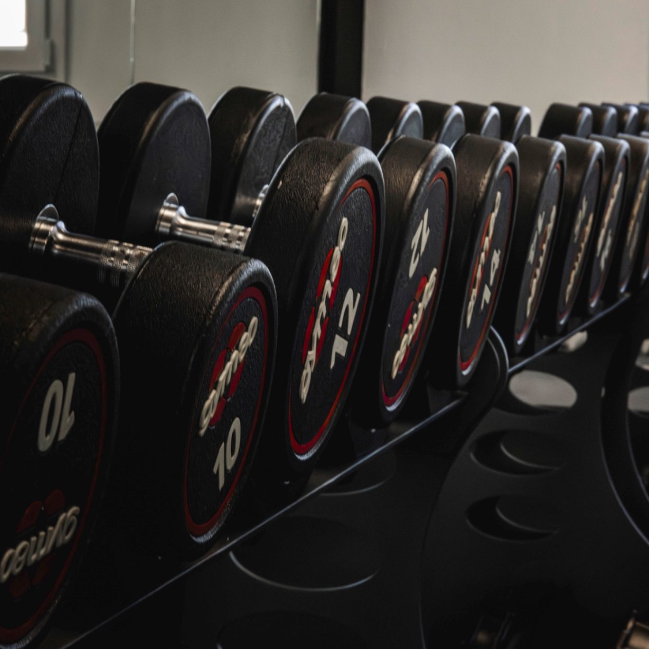 Fitnessstudio Meschede Kurzhanteln