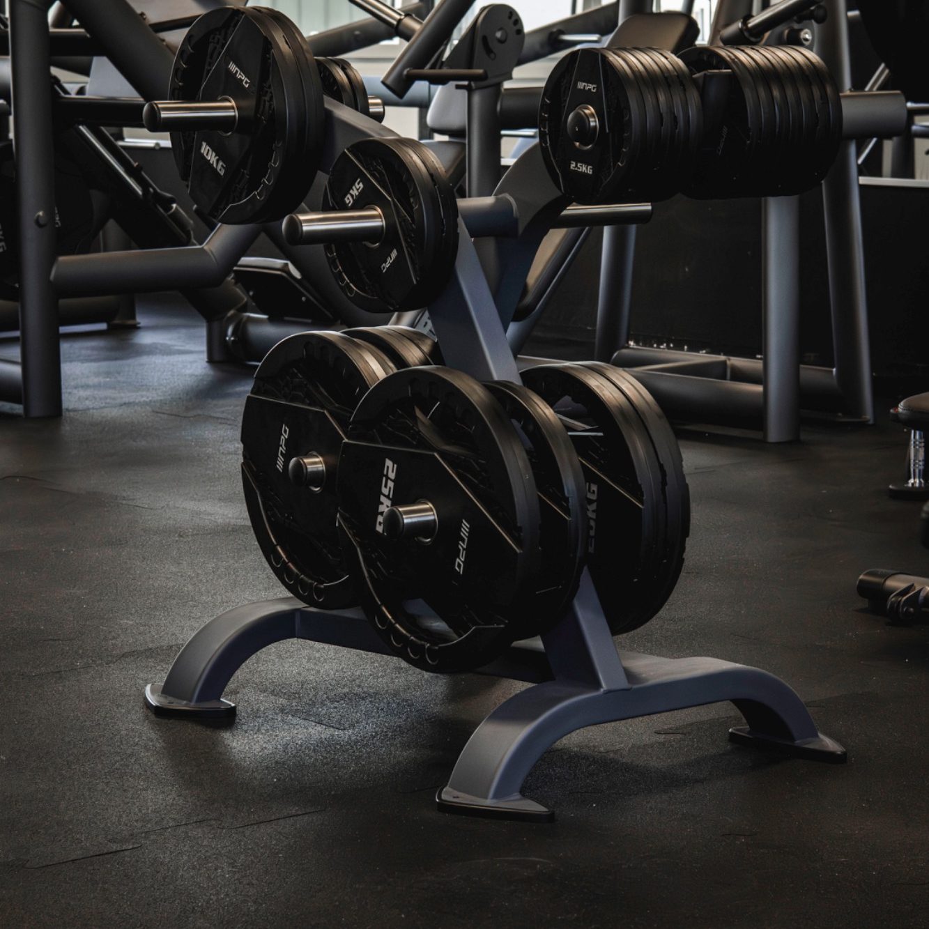 Gewichte Plate Loaded Bock im Fitnessstudio Meschede